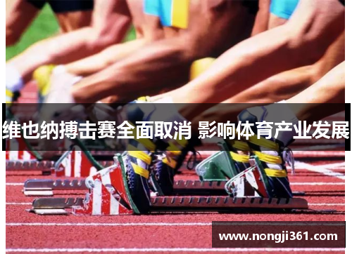 维也纳搏击赛全面取消 影响体育产业发展
